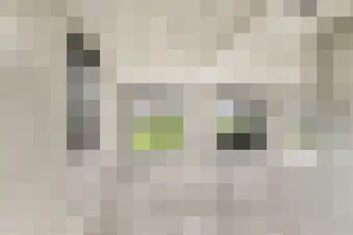 Kennemerlandrecht 22 Beverwijk thumbnail 7