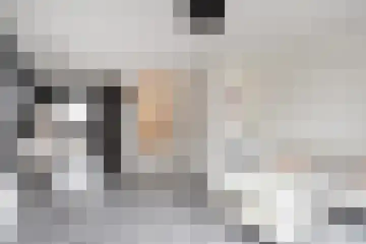 Kennemerlandsingel 23 Den Haag thumbnail 6