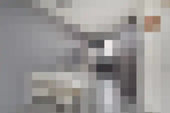 Kennemerlandsingel 23 Den Haag thumbnail 8
