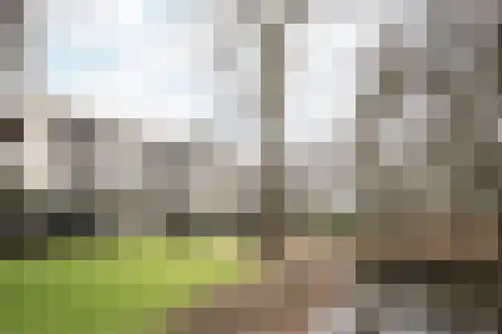 Kennemeroord 27 Heemstede thumbnail 40