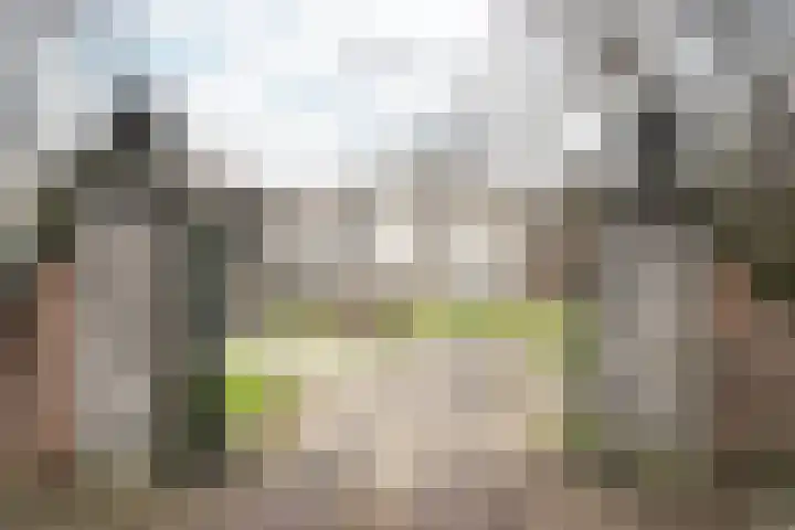 Kennemeroord 27 Heemstede thumbnail 5