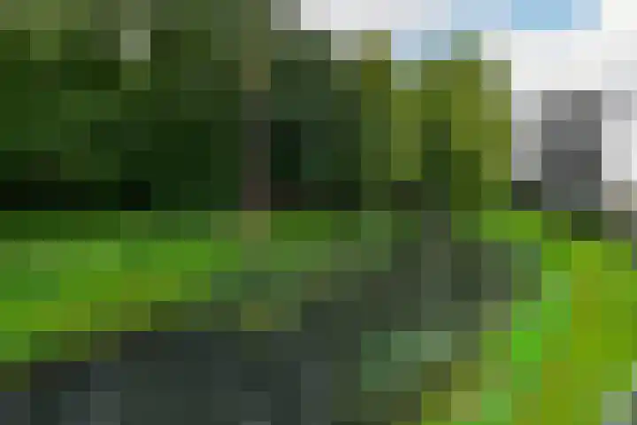 Kennemeroord 37 Heemstede thumbnail 26