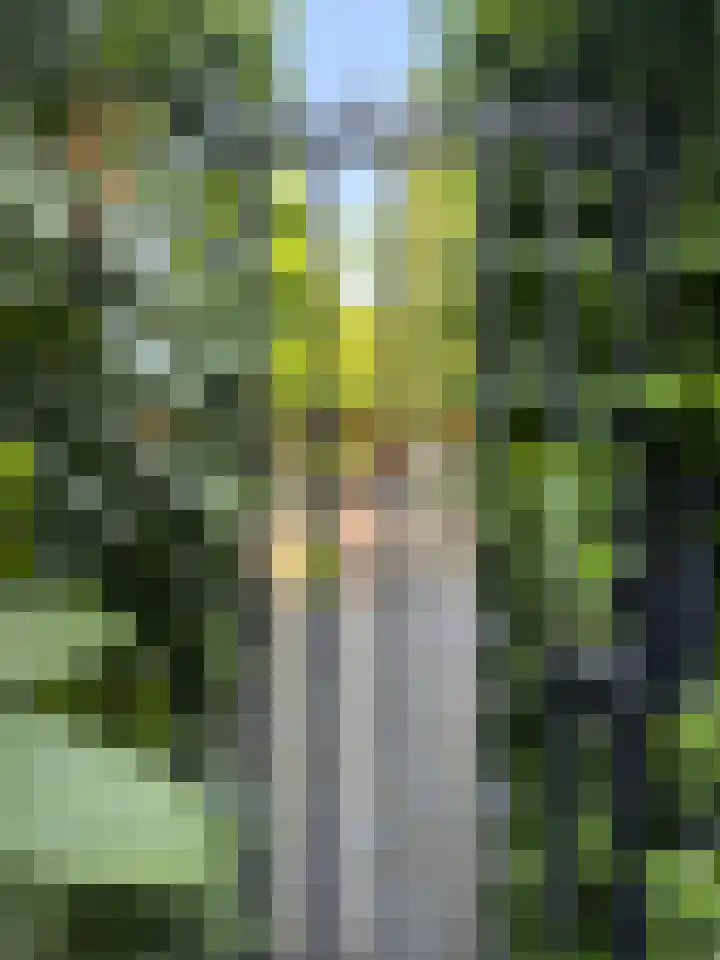 Kennemerpark 35 Alkmaar thumbnail 53