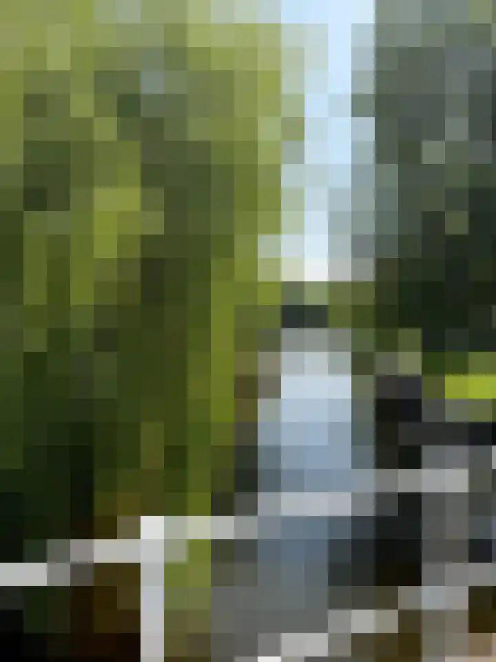 Kennemerpark 35 Alkmaar thumbnail 60