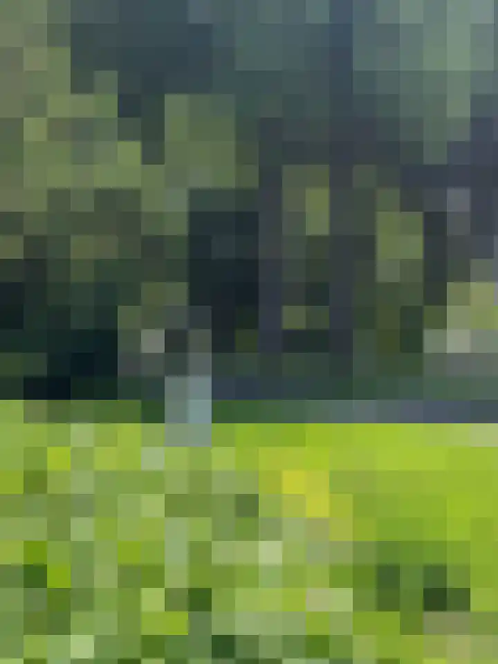 Kennemerpark 35 Alkmaar thumbnail 61