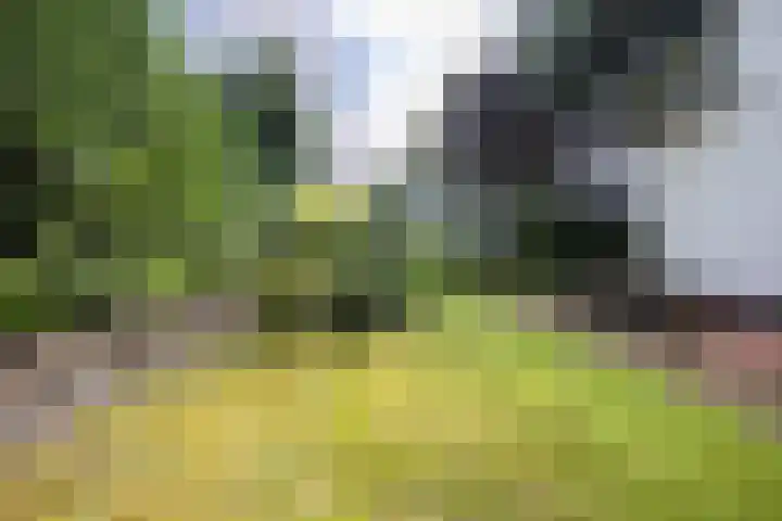 Kennemerplein 19 Haarlem thumbnail 13