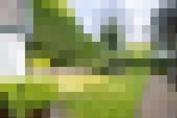 Kennemerplein 19 Haarlem thumbnail 14