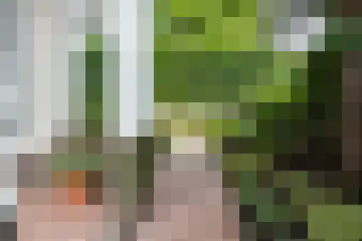 Kennemerplein 19 Haarlem thumbnail 16