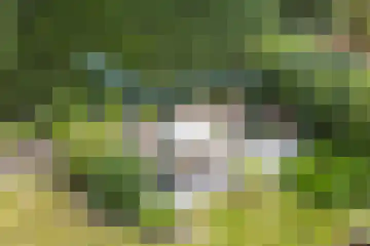 Kennemerplein 19 Haarlem thumbnail 21
