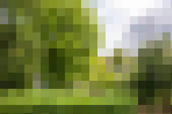 Kennemerplein 19 Haarlem thumbnail 37
