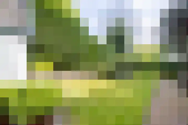 Kennemerplein 19 Haarlem thumbnail 42