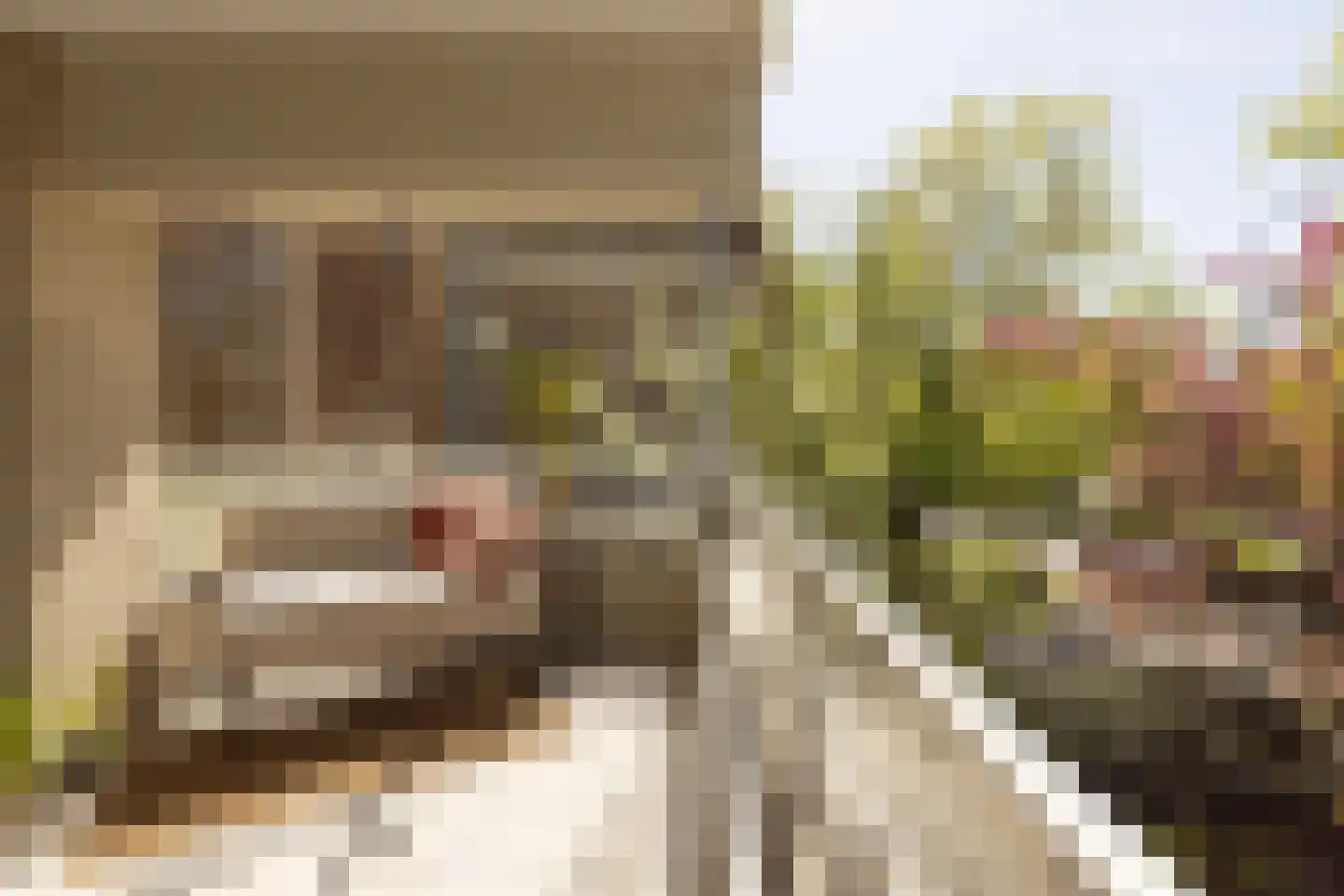 Kennemerplein 5 C Haarlem thumbnail 14