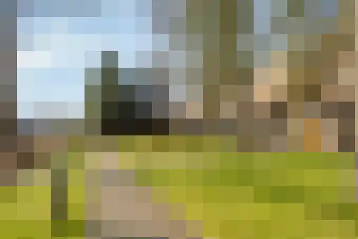 Kennemerstraatweg 2 G Alkmaar thumbnail 30