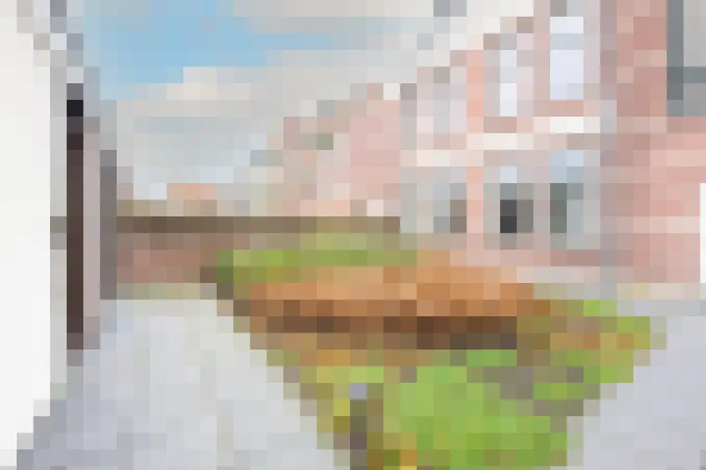 Kennemerstraatweg 21 J Alkmaar thumbnail 22