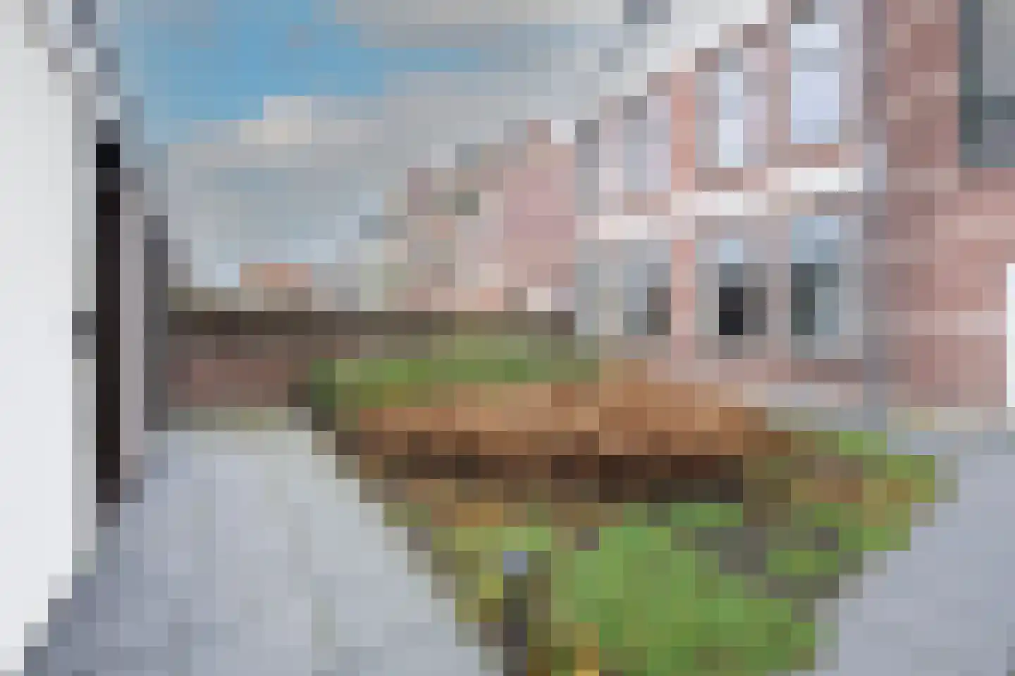 Kennemerstraatweg 21 J Alkmaar thumbnail 28