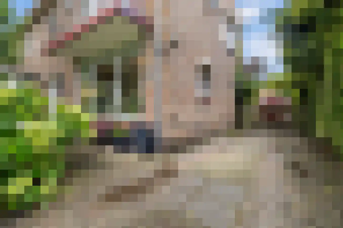Kennemerstraatweg 221 Heiloo thumbnail 7