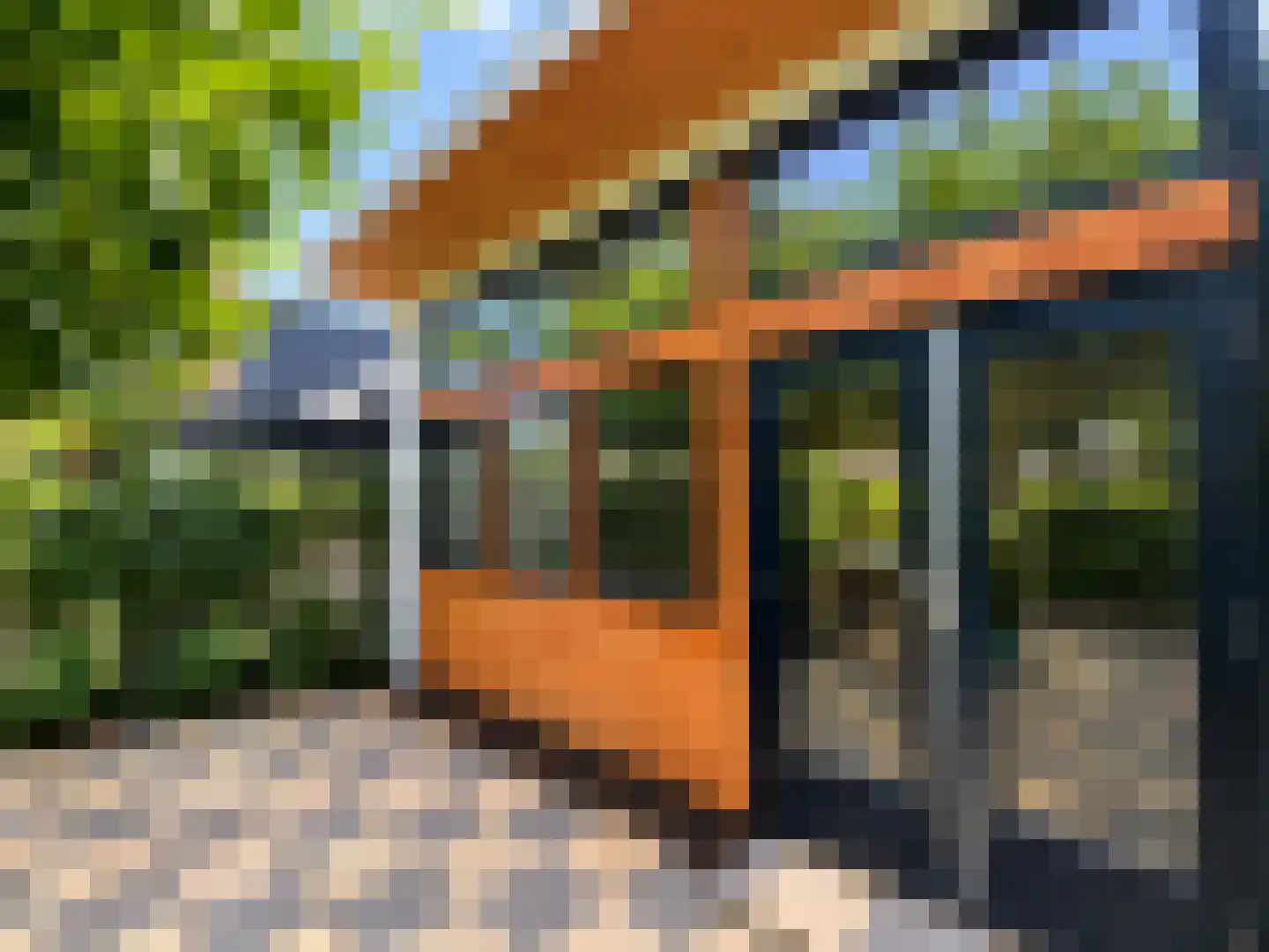Kennemerstraatweg 227 Alkmaar thumbnail 36