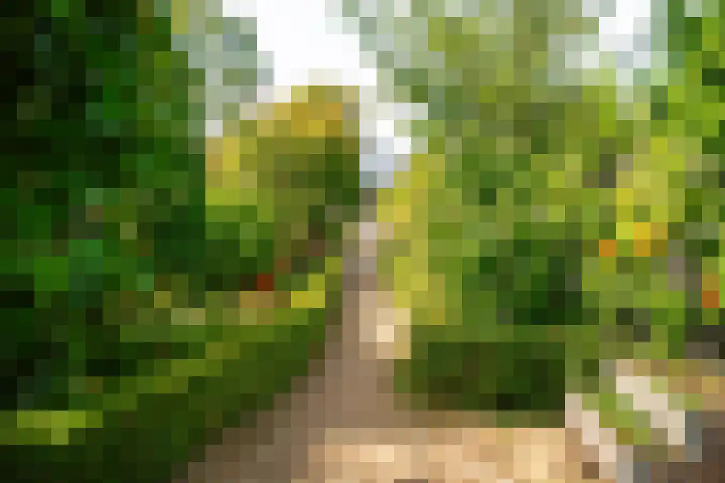 Kennemerstraatweg 236 Heiloo thumbnail 44