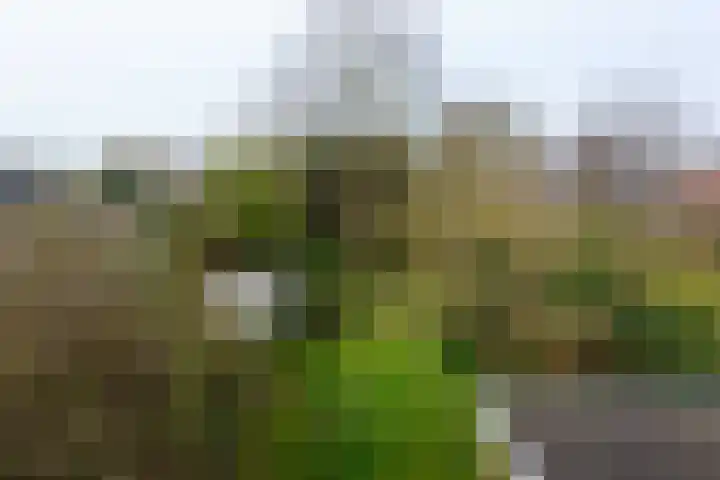 Kennemerstraatweg 249 Heiloo thumbnail 30