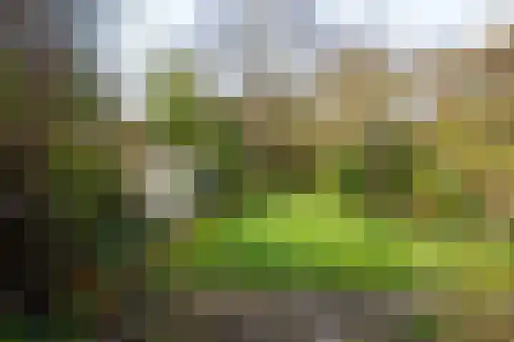 Kennemerstraatweg 249 Heiloo thumbnail 39