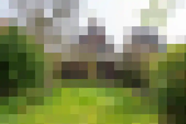 Kennemerstraatweg 249 Heiloo thumbnail 42