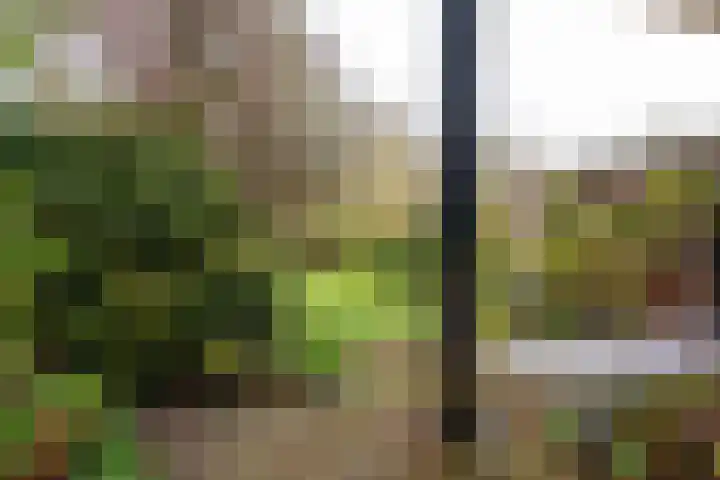 Kennemerstraatweg 249 Heiloo thumbnail 44