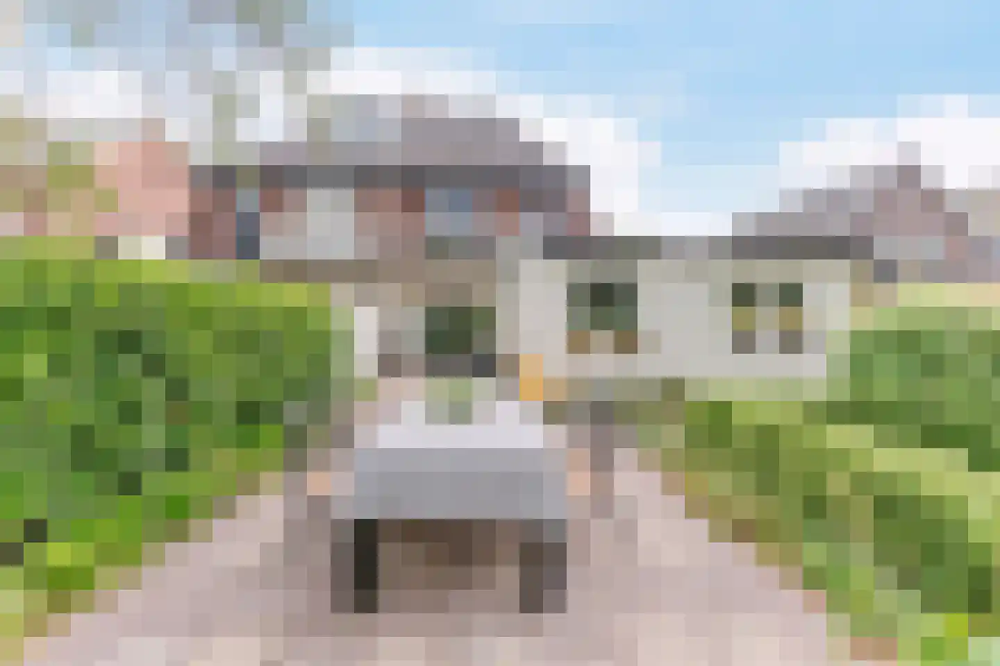 Kennemerstraatweg 285 Heiloo thumbnail 25