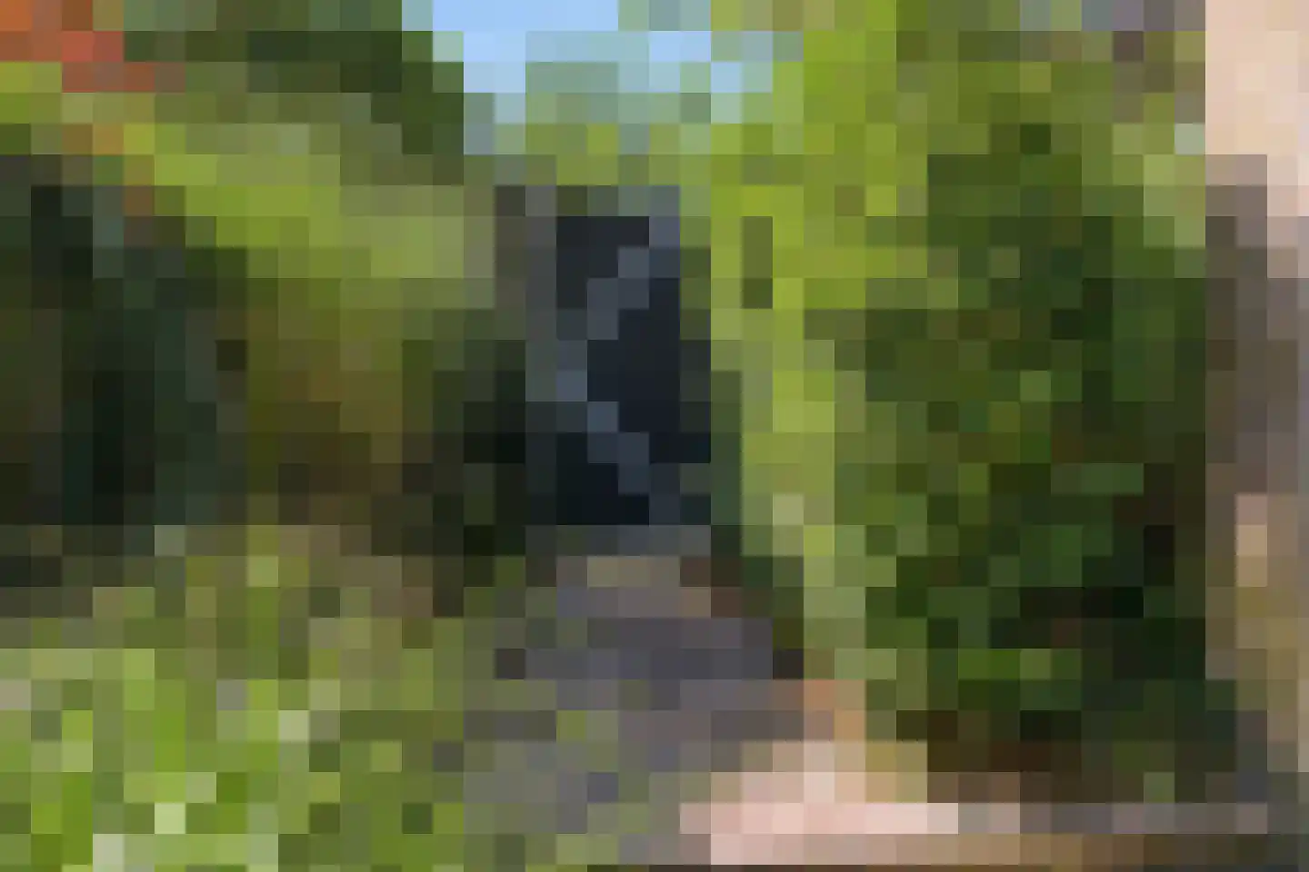 Kennemerstraatweg 39 Heiloo thumbnail 43