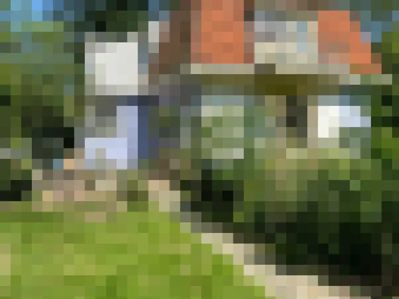 Kennemerstraatweg 5 Heiloo thumbnail 5