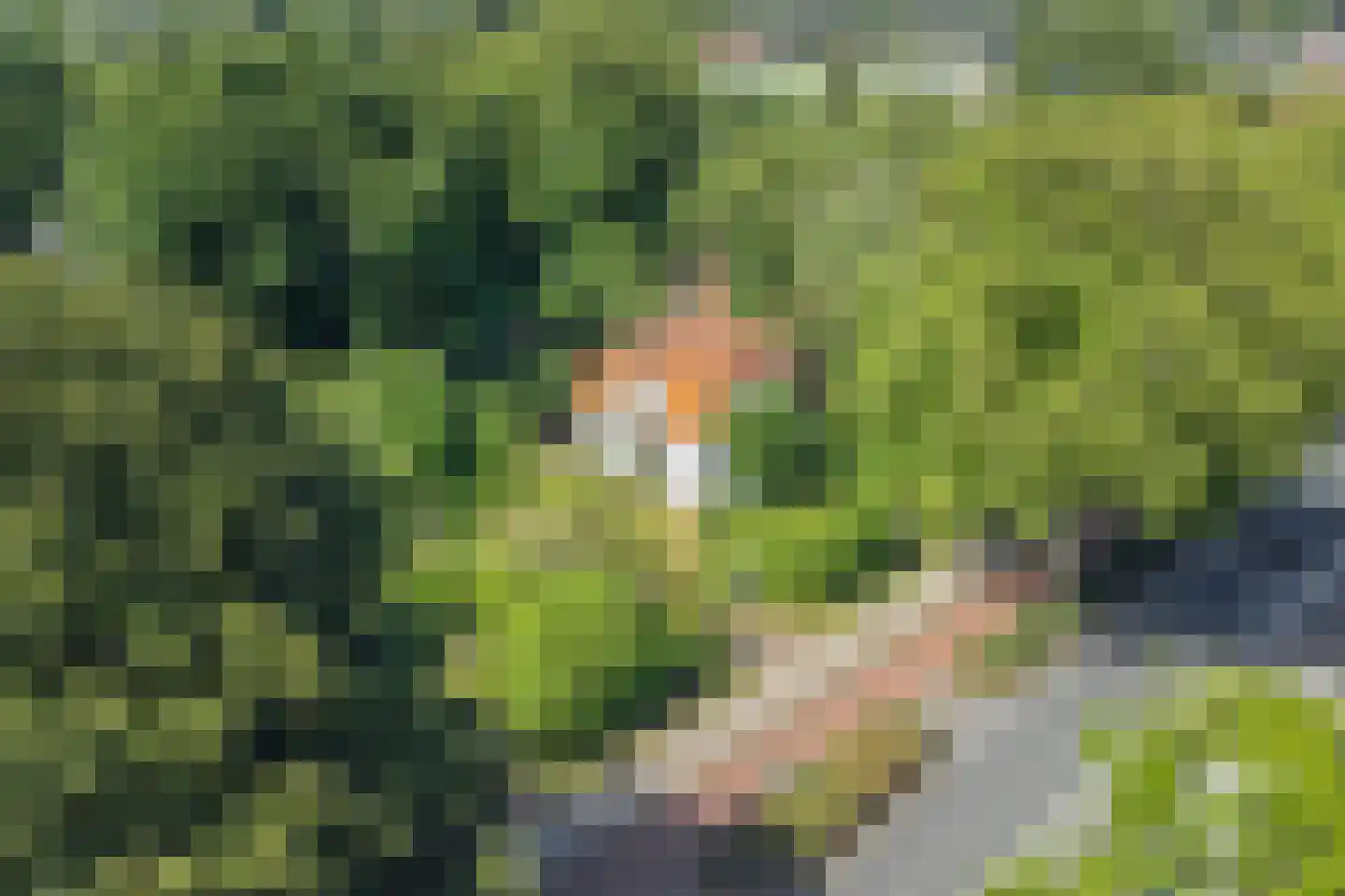 Kennemerstraatweg 5 Heiloo thumbnail 7