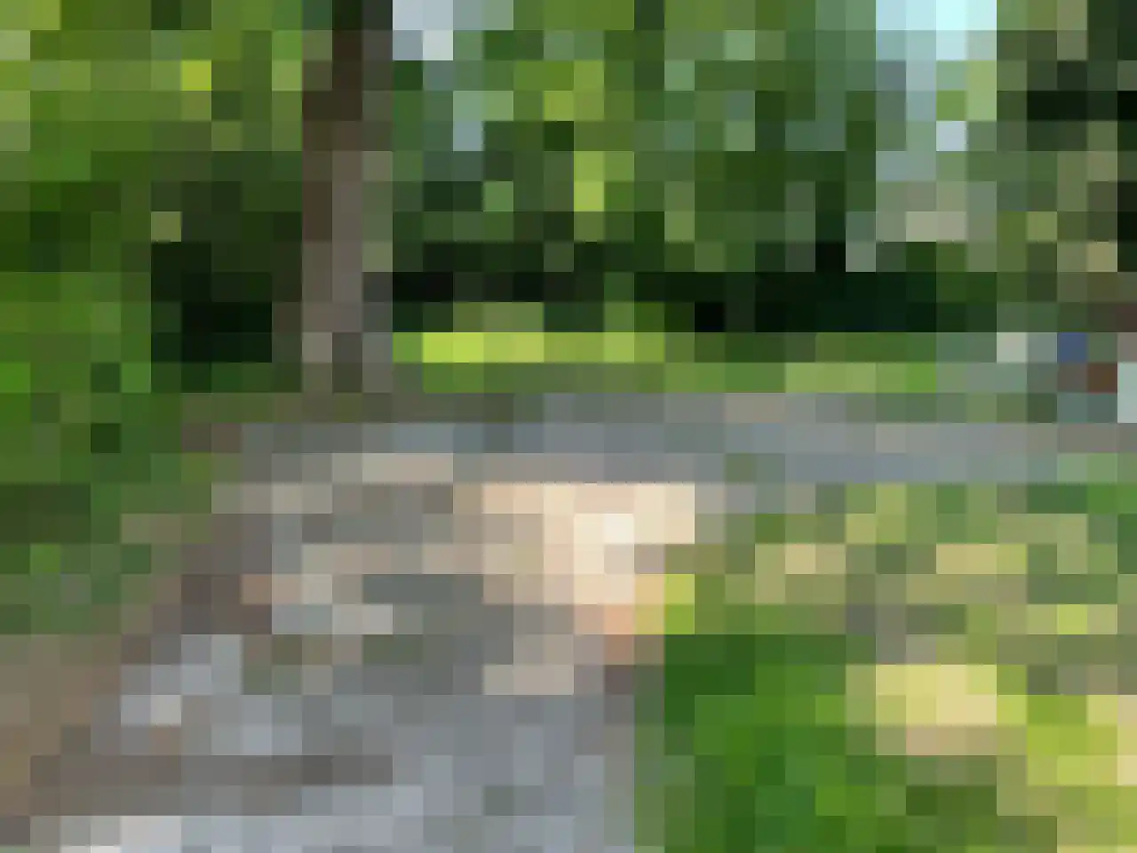 Kennemerstraatweg 5 Heiloo thumbnail 8