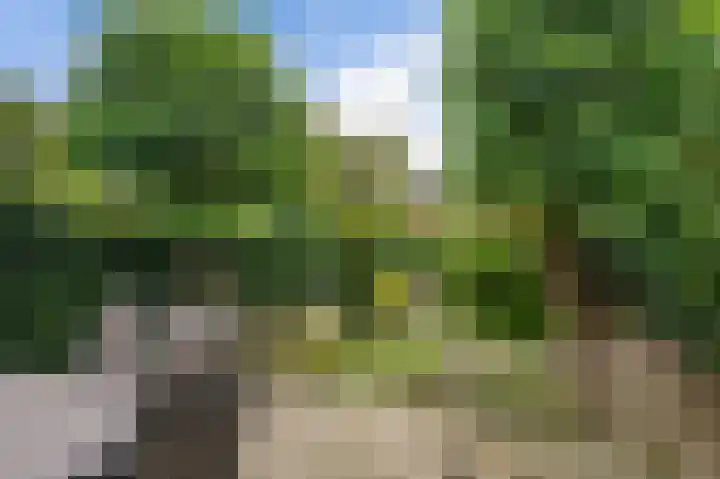 Kennemerstraatweg 546 Heiloo thumbnail 35