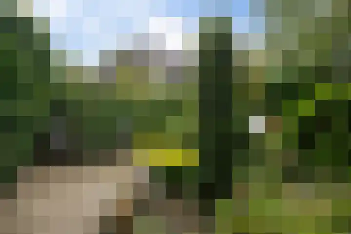 Kennemerstraatweg 546 Heiloo thumbnail 37