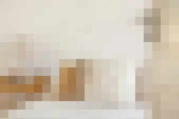 Kennemerstraatweg 60 B Alkmaar thumbnail 24