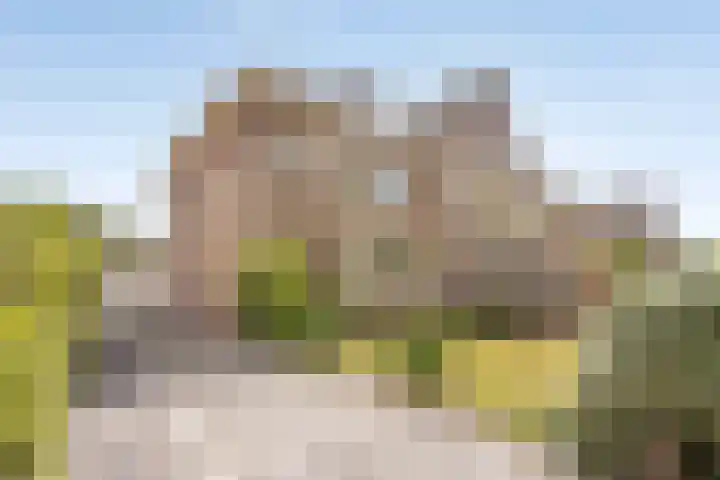 Kennemerstraatweg 604 Heiloo thumbnail 32