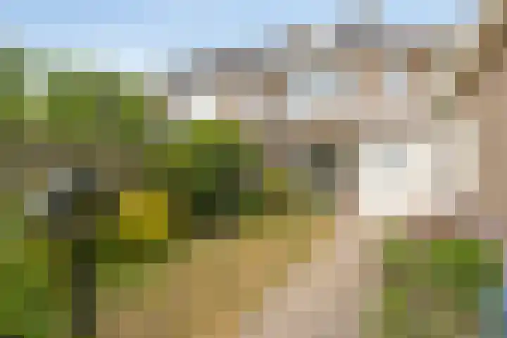 Kennemerstraatweg 604 Heiloo thumbnail 4
