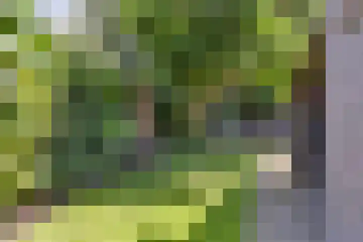 Kennemerstraatweg 612 Heiloo thumbnail 37