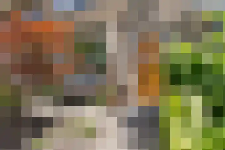 Kennemerstraatweg 612 Heiloo thumbnail 7