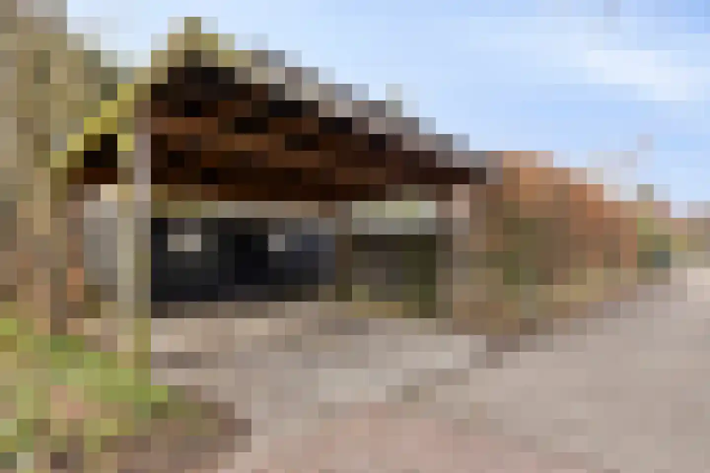 Kennemerstraatweg 634 Heiloo thumbnail 4