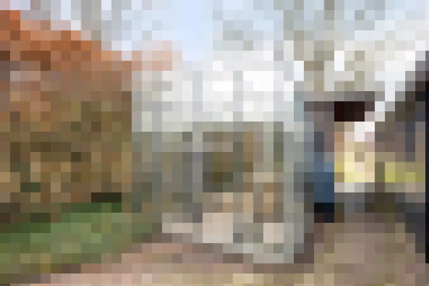 Kennemerstraatweg 634 Heiloo thumbnail 41
