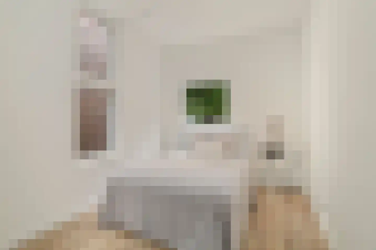 Kennemerstraatweg 89 Heiloo thumbnail 31