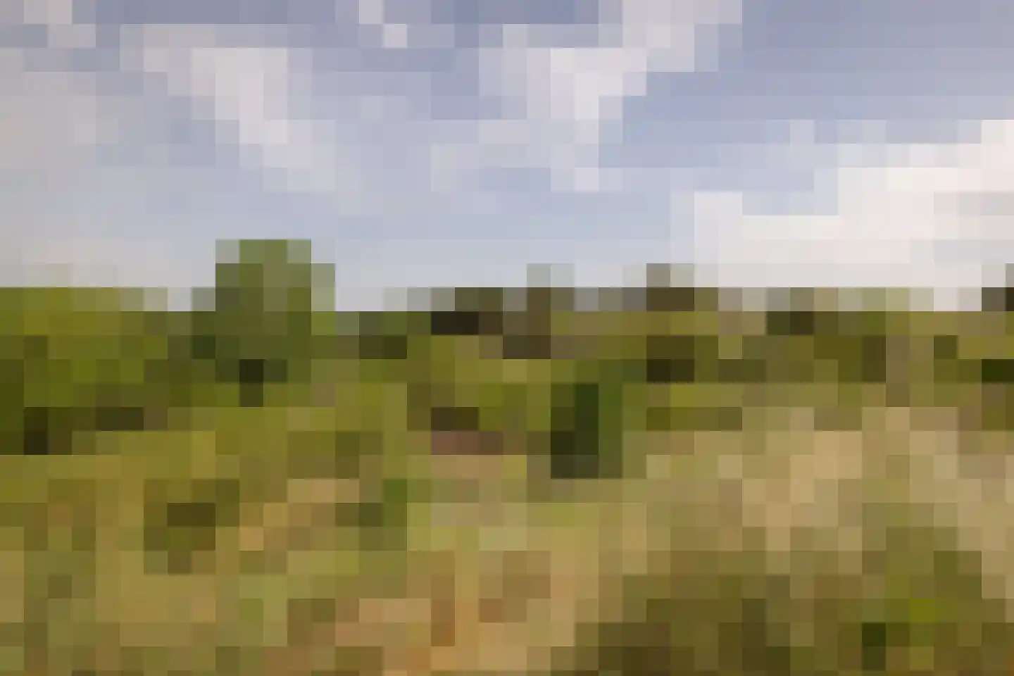 Kennemerweg 1 Zandvoort thumbnail 55