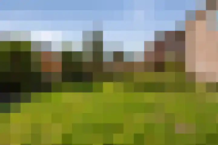Kennemerweg 21 Bloemendaal thumbnail 35