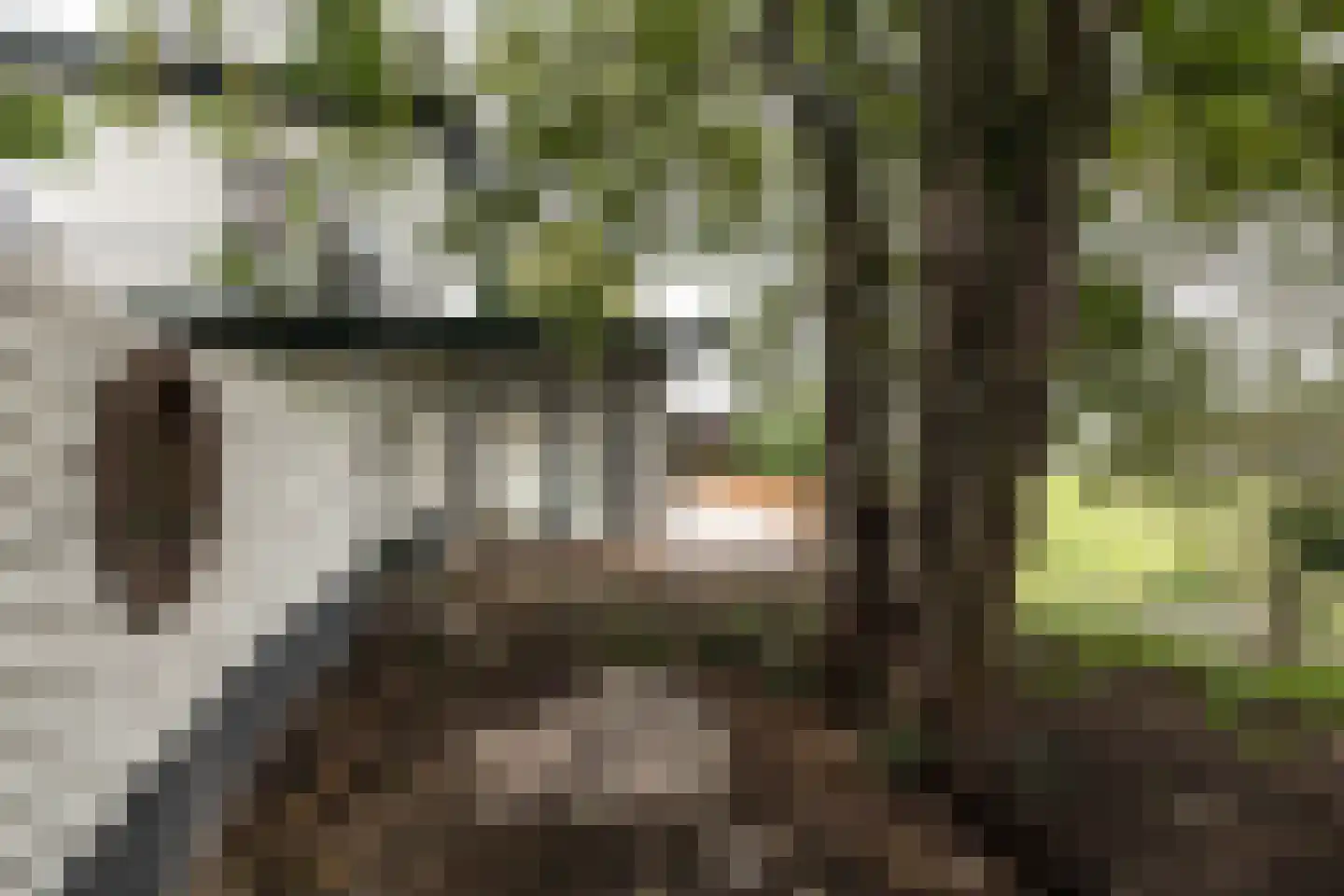 Kennemerweg 8 Zandvoort thumbnail 17