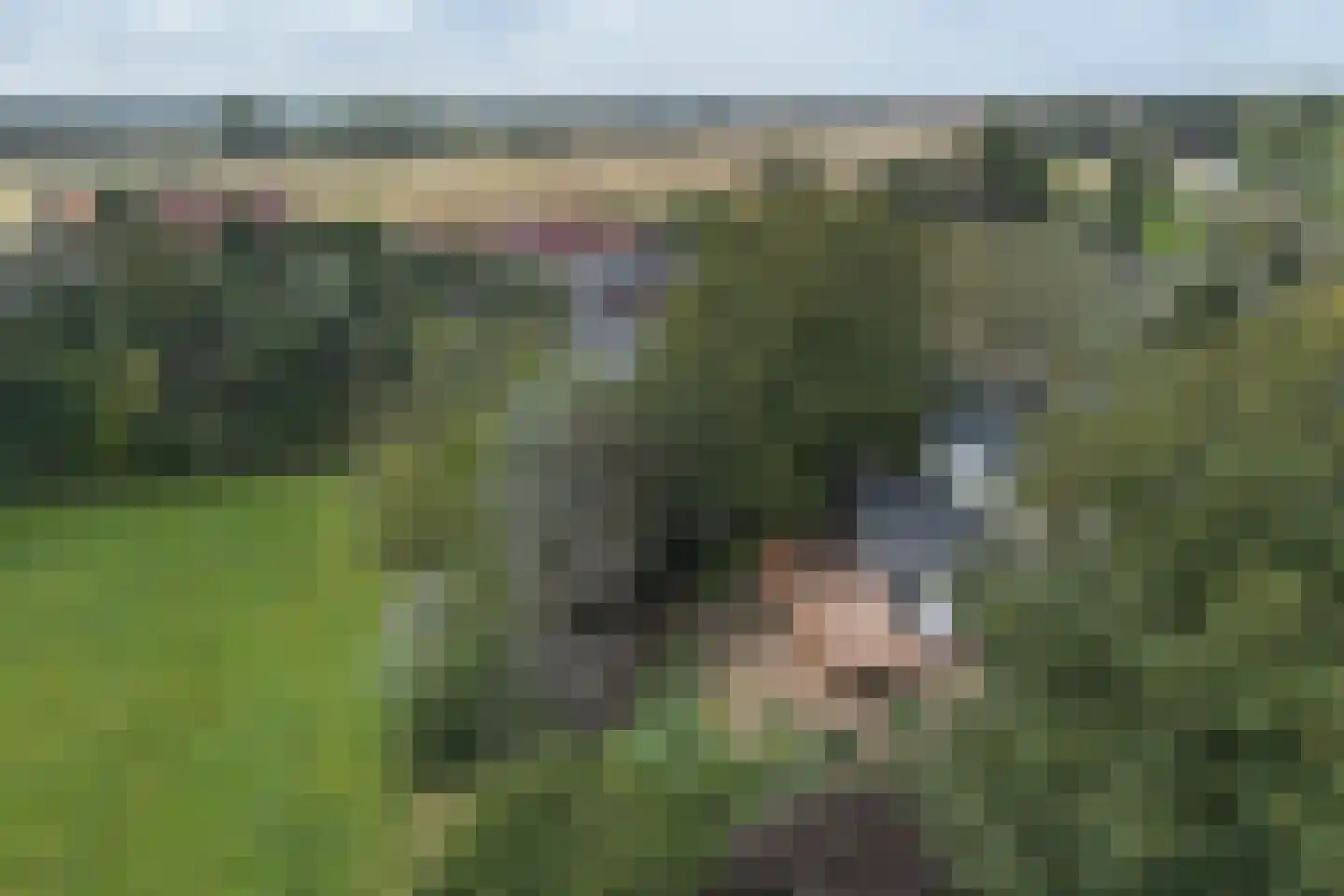 Kennemerweg 8 Zandvoort thumbnail 50