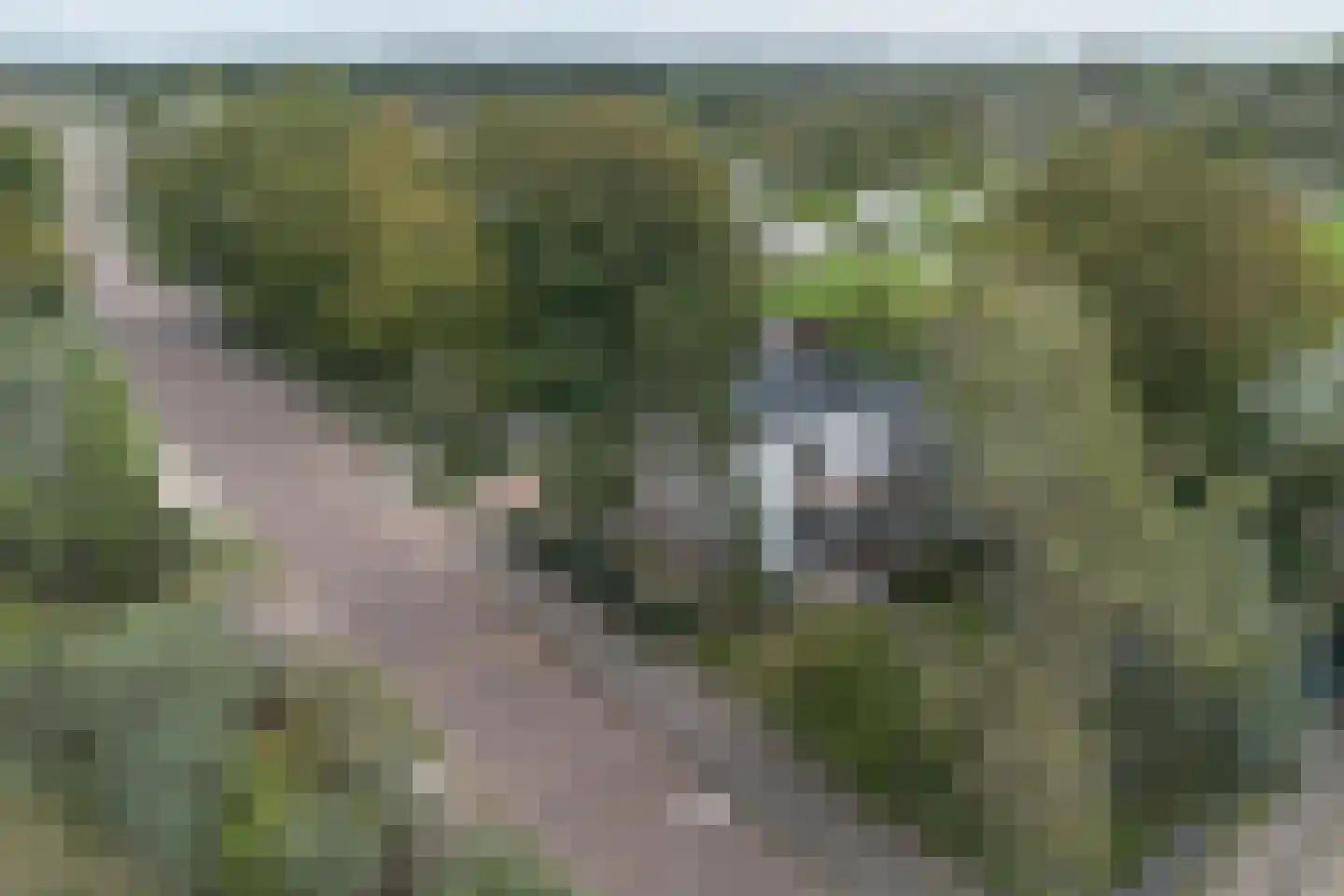 Kennemerweg 8 Zandvoort thumbnail 52