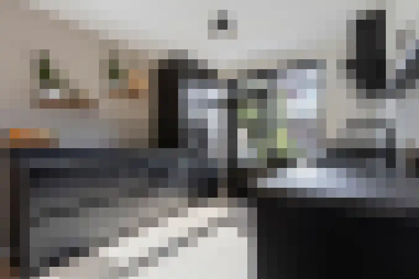 Kennipwerf 2 Hendrik-Ido-Ambacht thumbnail 13