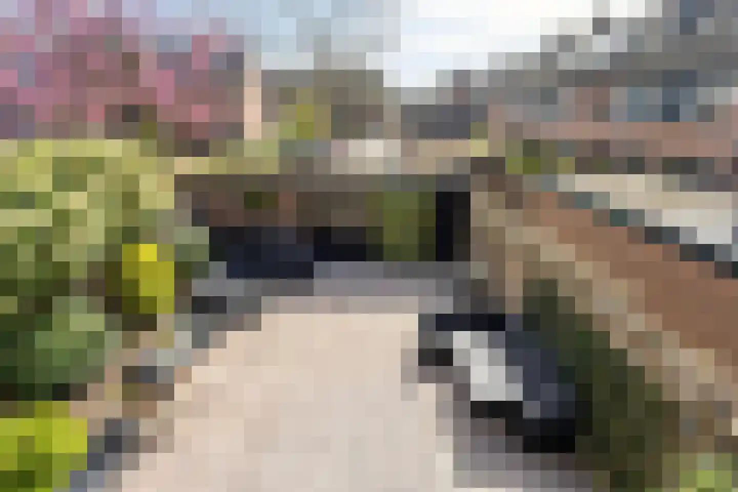 Kennipwerf 2 Hendrik-Ido-Ambacht thumbnail 33