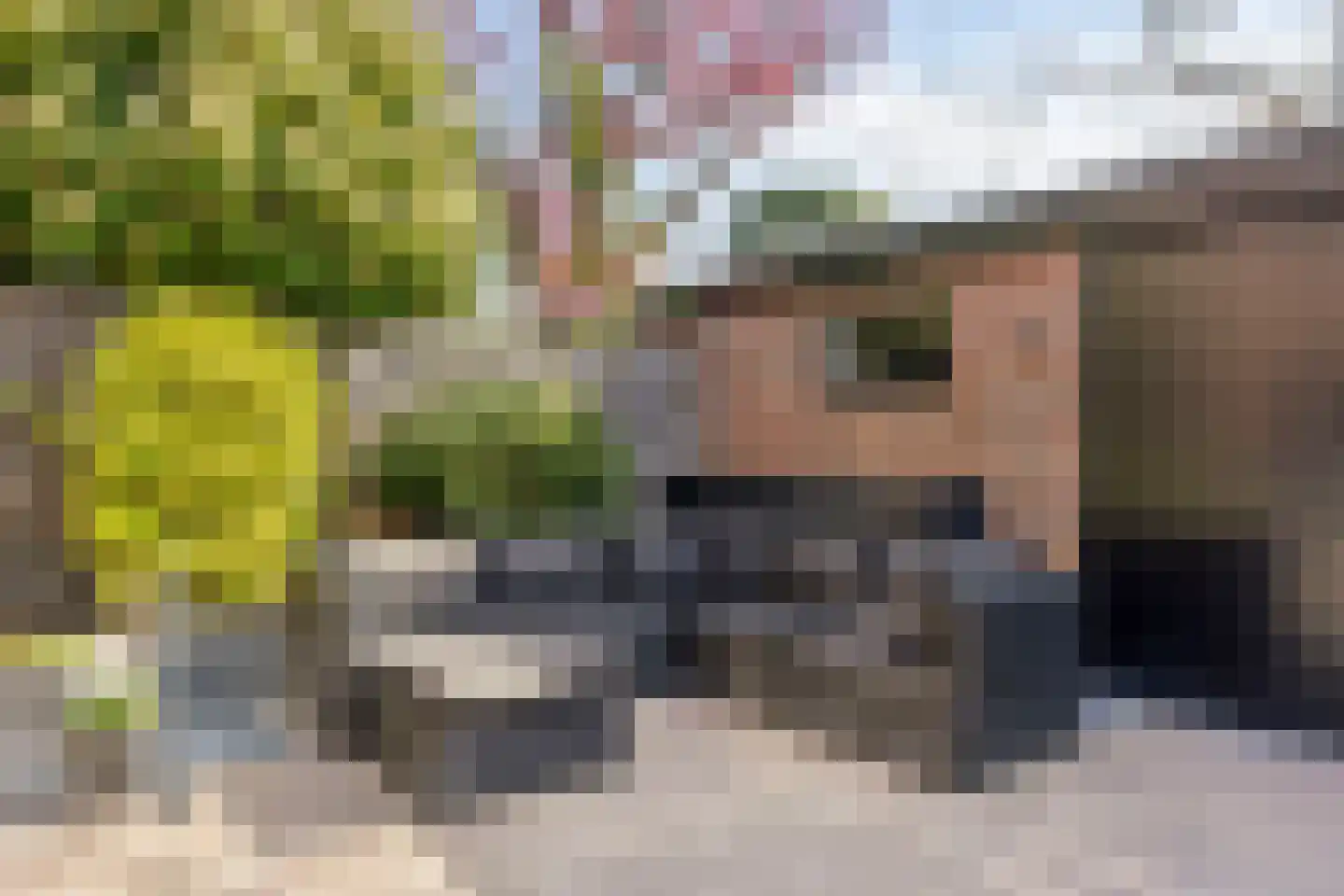 Kennipwerf 2 Hendrik-Ido-Ambacht thumbnail 4