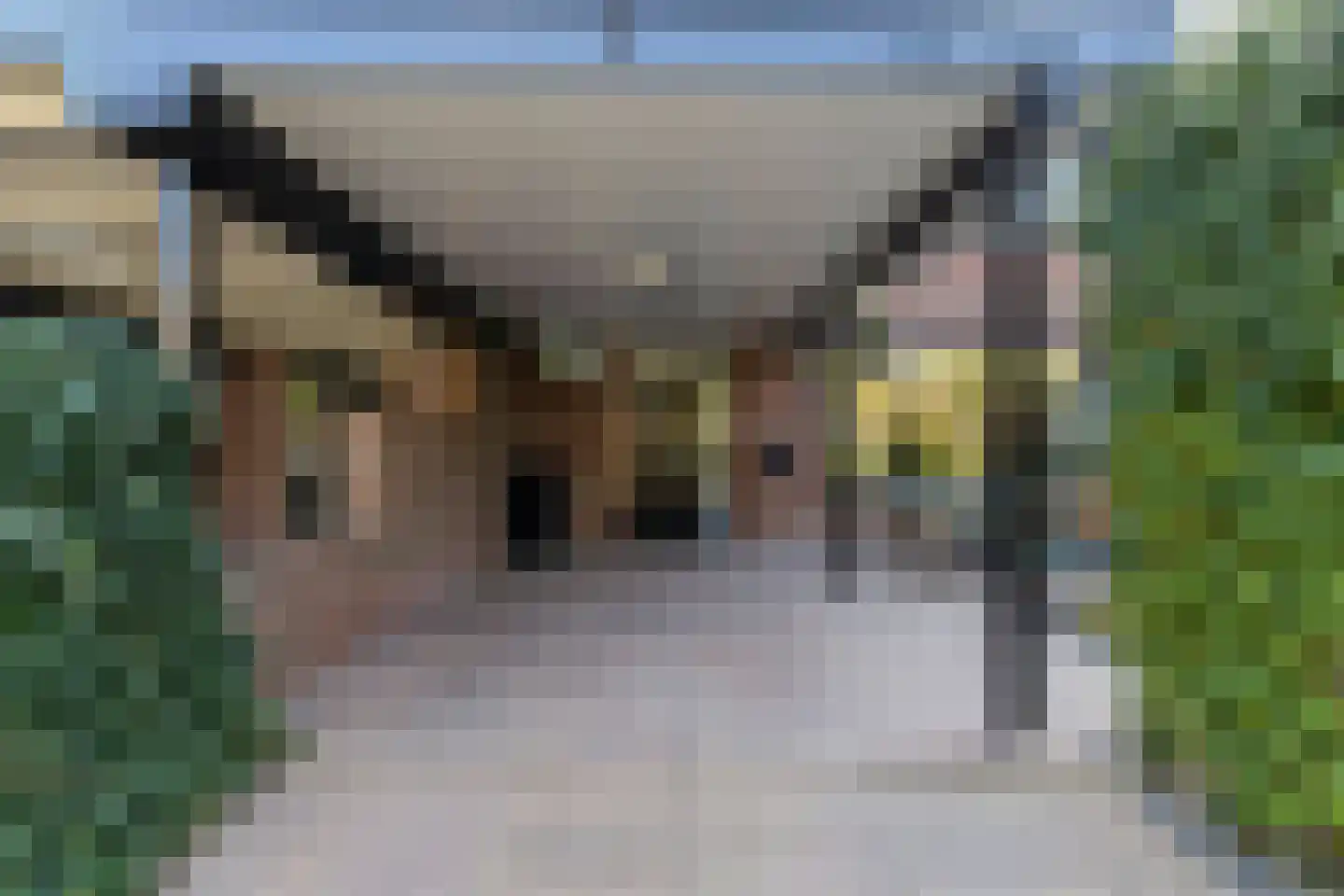 Kennipwerf 2 Hendrik-Ido-Ambacht thumbnail 49